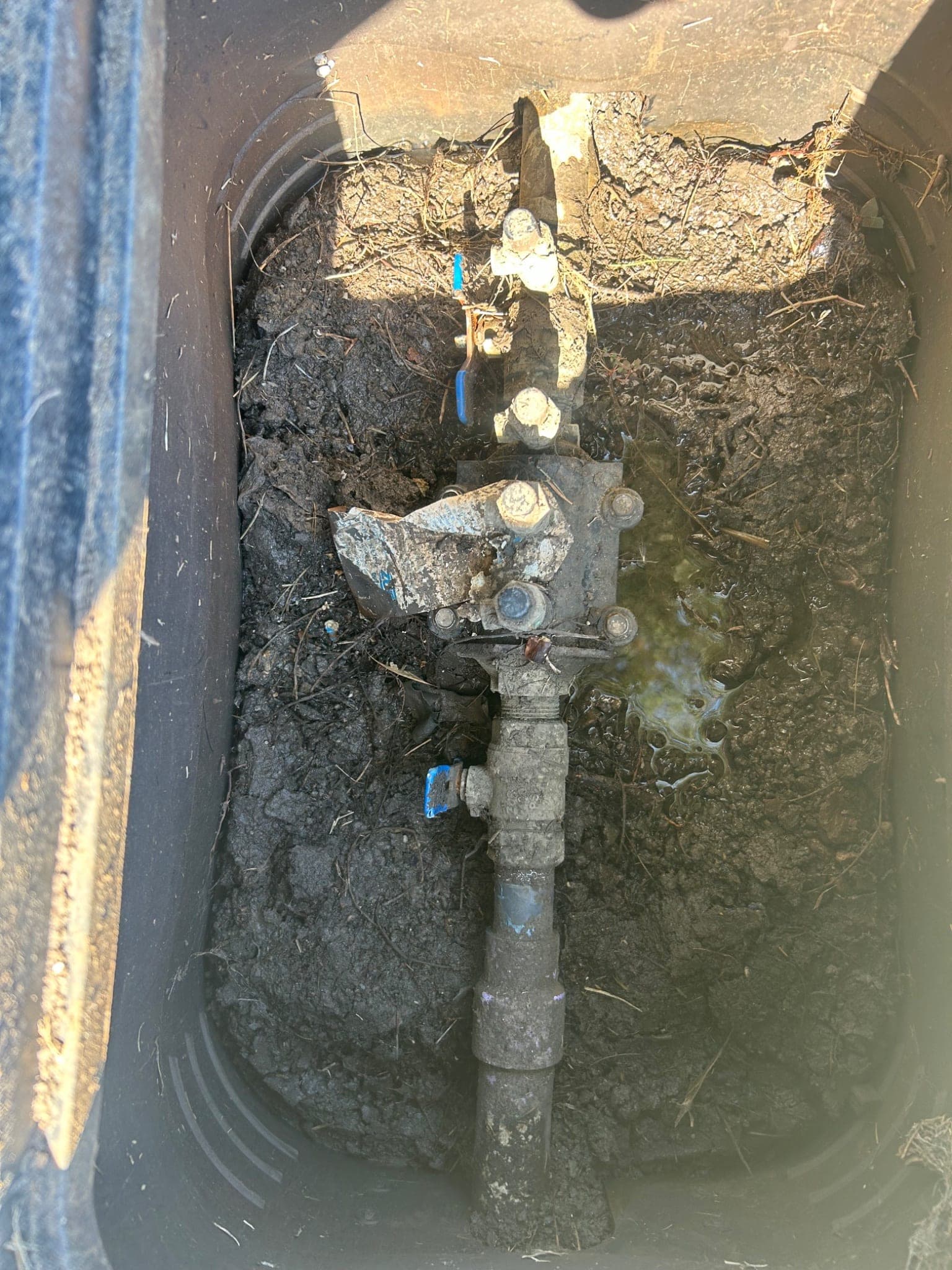 Residential Yard Leak Assessment and Estimate in Rockwall, TX