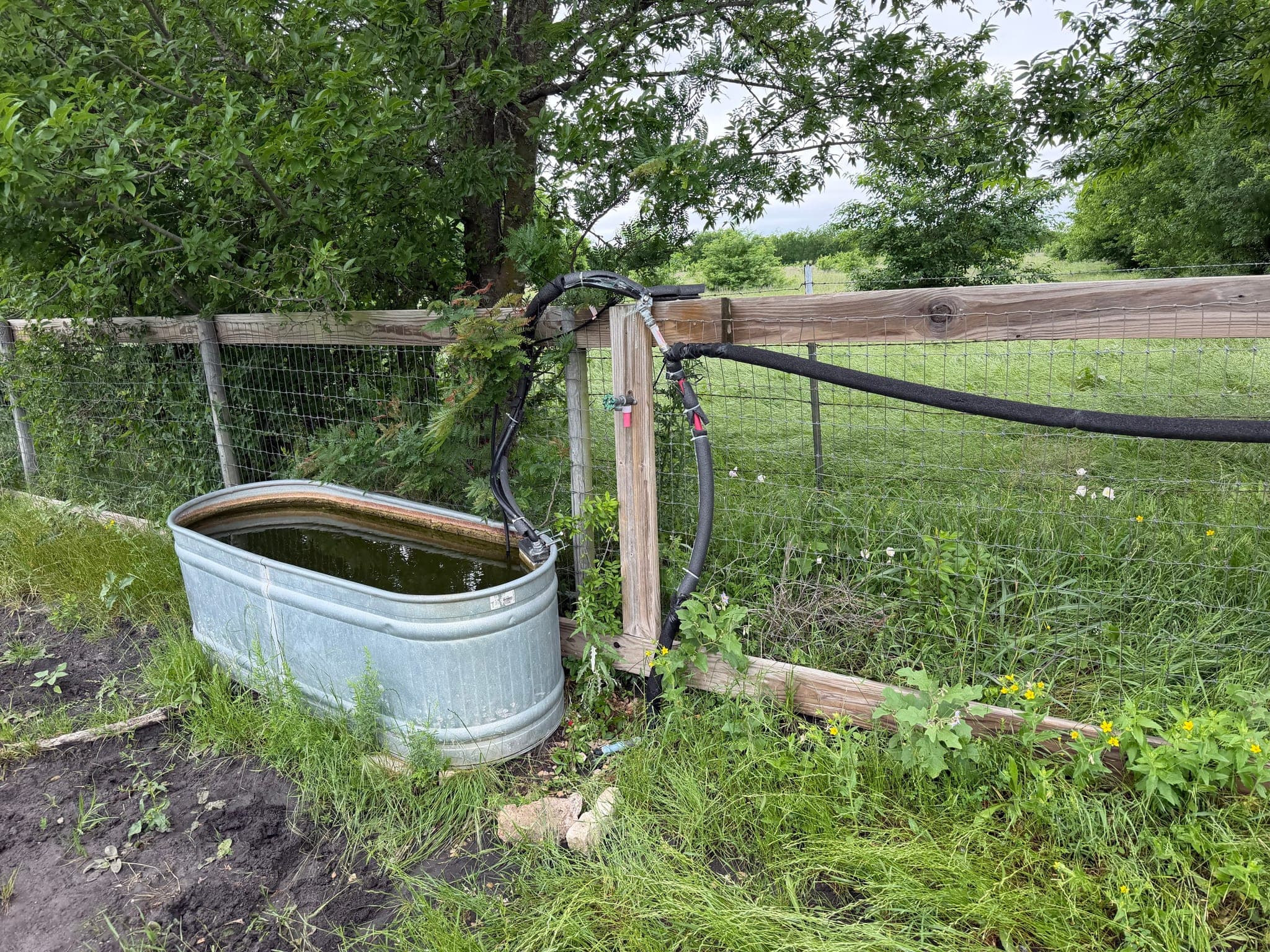 PEX Pipe Replacement for Livestock Water Line in Heath, TX
