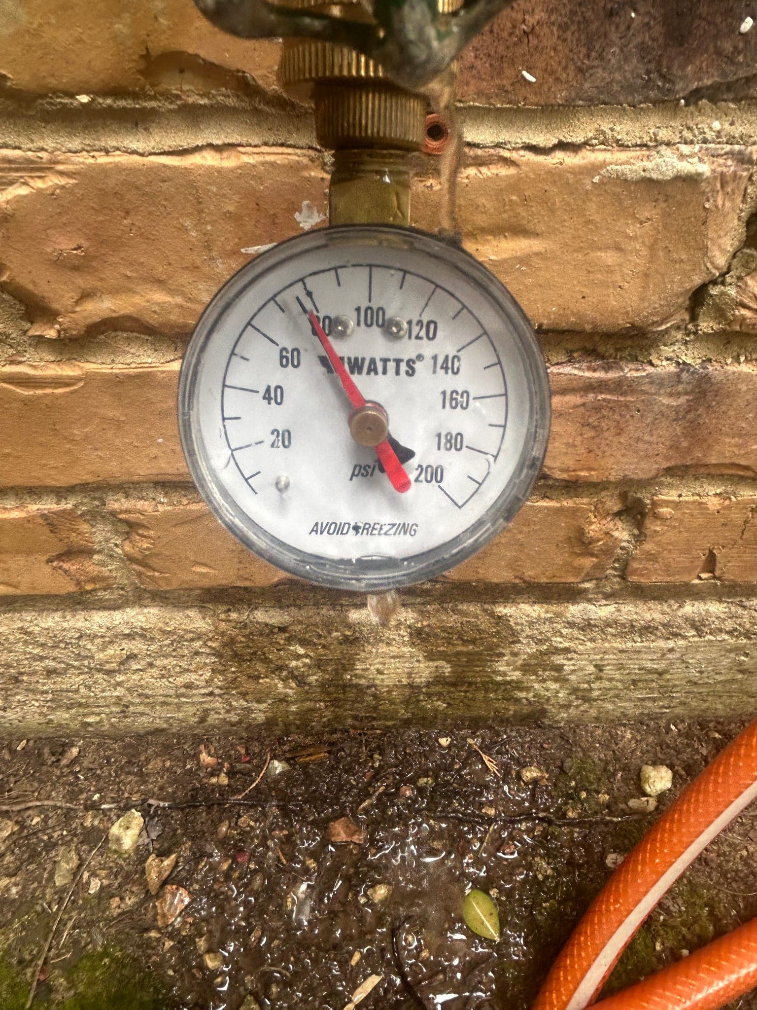 Kitchen Sink Sprayer Tightening and Inspection in Rockwall, TX