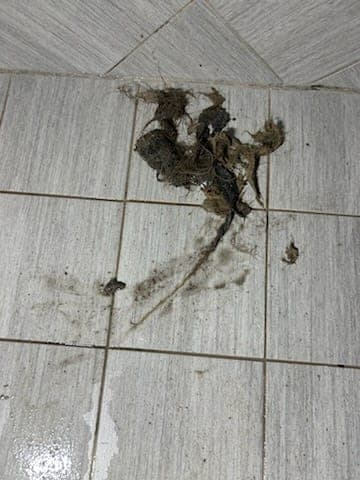 Drain Cleaning in Dallas