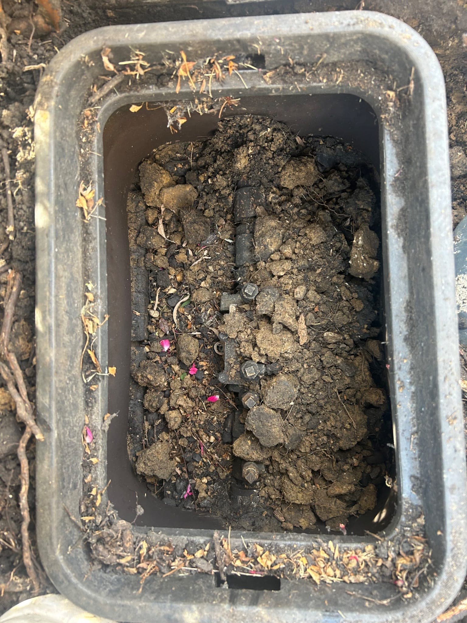 Double-Check Valve Replacement in Flower Mound, TX