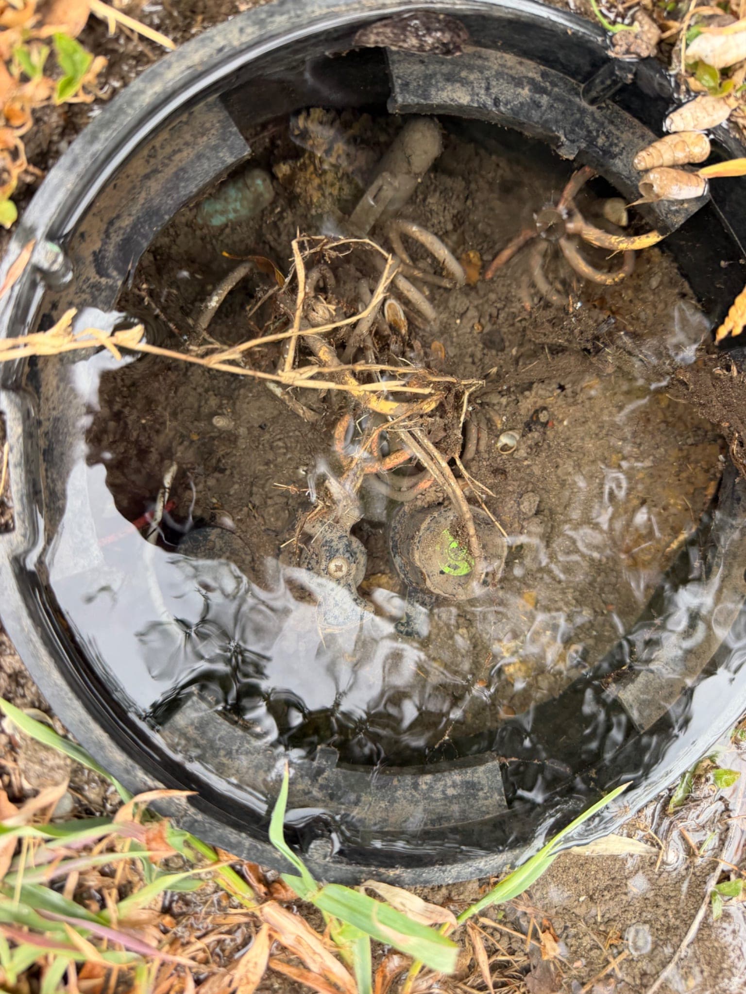 Double-Check Valve Inspection and Water Meter Leak Detection in Rockwall, TX