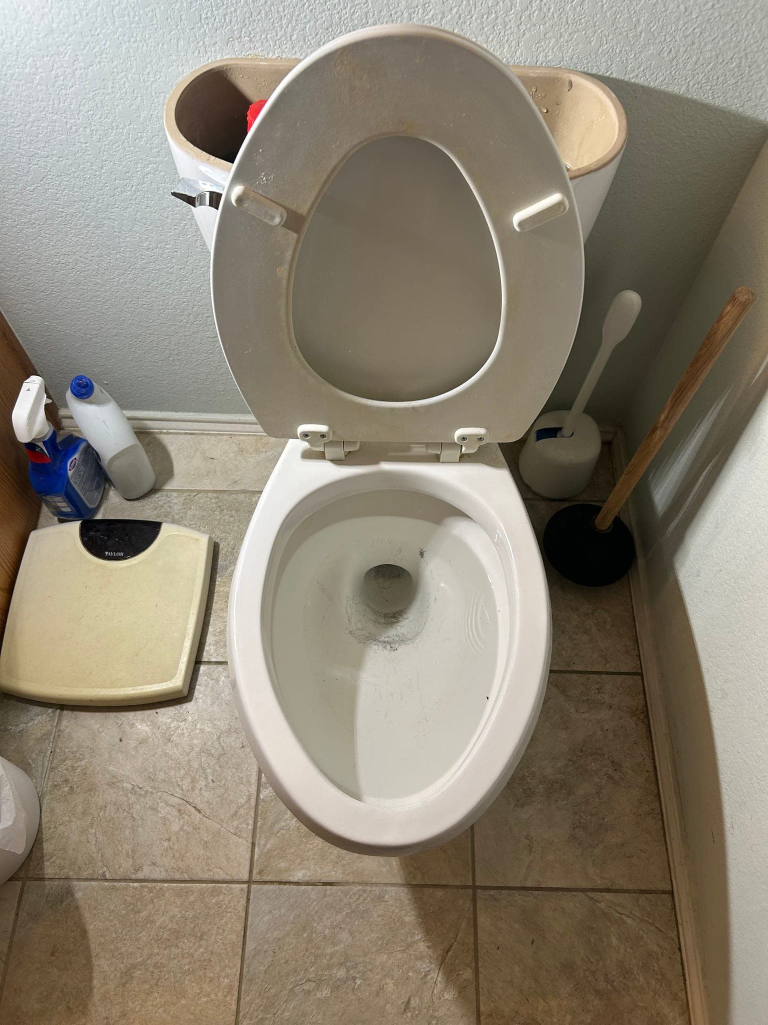 Toilet Auger Blockage Removal in Rockwall, TX